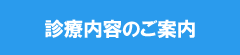 診療内容のご案内